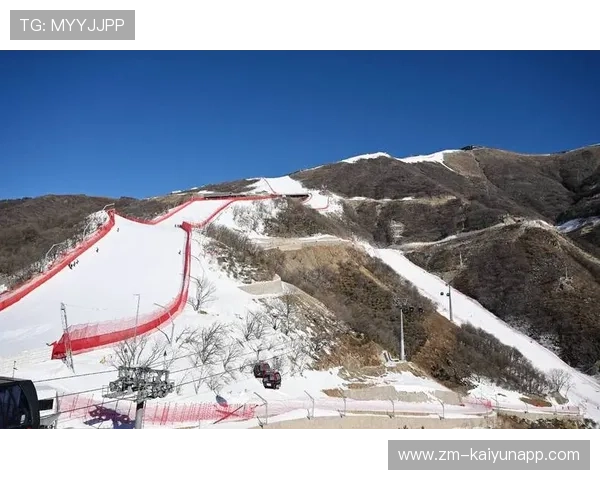 世界高山滑雪赛道生态修复第116期进展公告，世界高山滑雪锦标赛